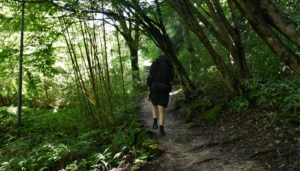 The Most Popular Route of the Samurai Trail(Nakatsugawa to Tsumago)